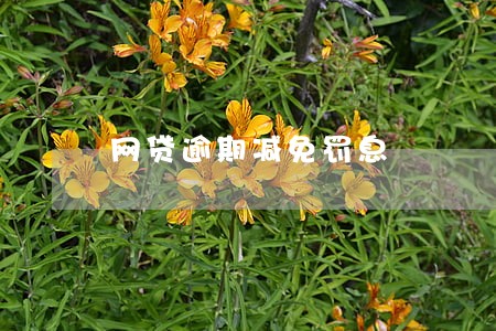 网贷逾期减免罚息 网贷逾期减免罚息