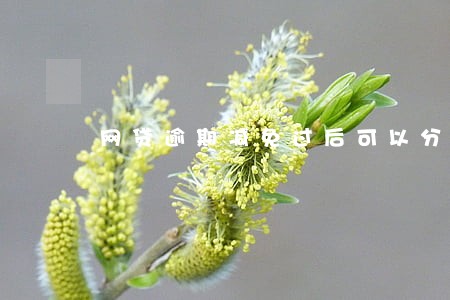 网贷逾期减免过后可以分期嘛 网贷逾期减免过后可以分期嘛
