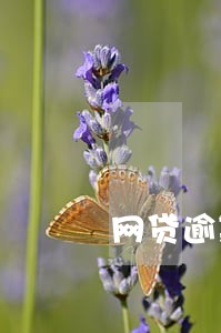 网贷逾期减免还对公账户 网贷逾期减免还对公账户