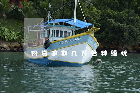 网贷逾期几万各种骚扰 网贷逾期几万各种骚扰