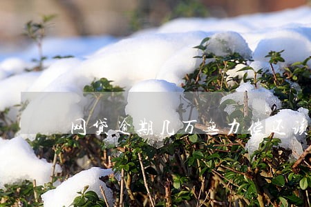 网贷逾期几万无力偿还该怎么办 网贷逾期几万无力偿还该怎么办