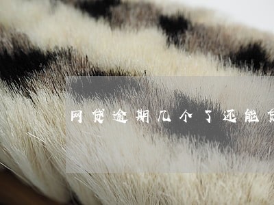 网贷逾期几个了还能贷吗 网贷逾期几个了还能贷吗