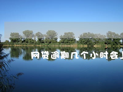 网贷逾期几个小时会上征信吗 网贷逾期几个小时会上征信吗