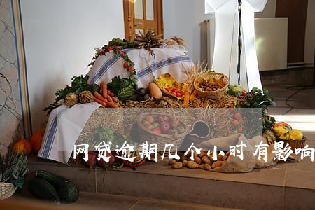 网贷逾期几个小时有影响吗