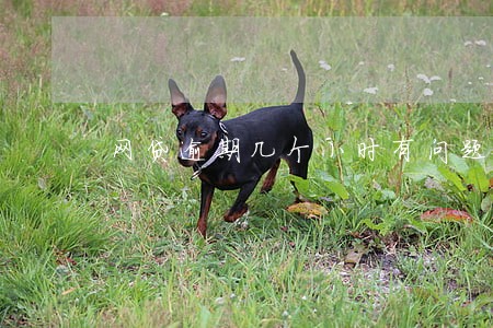 网贷逾期几个小时有问题吗 网贷逾期几个小时有问题吗