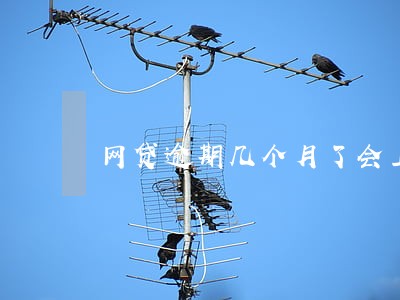 网贷逾期几个月了会上门收吗 网贷逾期几个月了会上门收吗