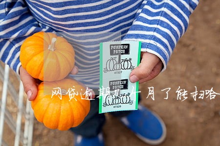 网贷逾期几个月了能扫哈罗单车吗 网贷逾期几个月了能扫哈罗单车吗