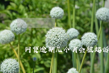 网贷逾期几个月会被起诉吗 网贷逾期几个月会被起诉吗