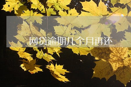 网贷逾期几个月再还 网贷逾期几个月再还