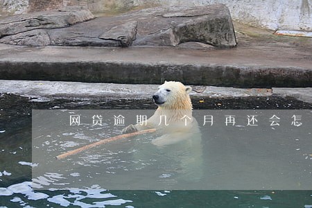 网贷逾期几个月再还会怎样 网贷逾期几个月再还会怎样