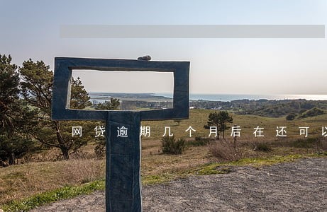网贷逾期几个月后在还可以吗 网贷逾期几个月后在还可以吗