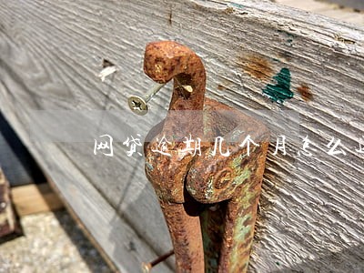 网贷逾期几个月怎么还 网贷逾期几个月怎么还