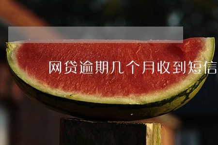 网贷逾期几个月收到短信 网贷逾期几个月收到短信