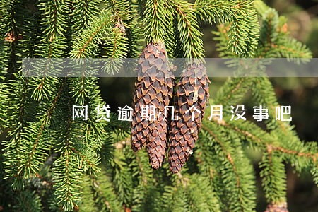 网贷逾期几个月没事吧 网贷逾期几个月没事吧