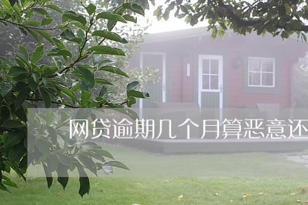 网贷逾期几个月算恶意还款 网贷逾期几个月算恶意还款