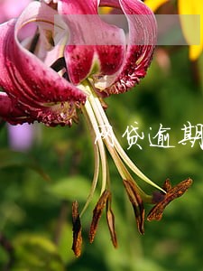 网贷逾期几个月算黑户 网贷逾期几个月算黑户
