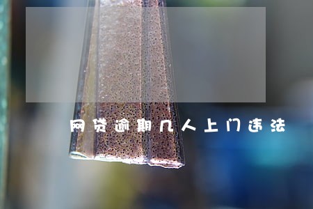 网贷逾期几人上门违法 网贷逾期几人上门违法