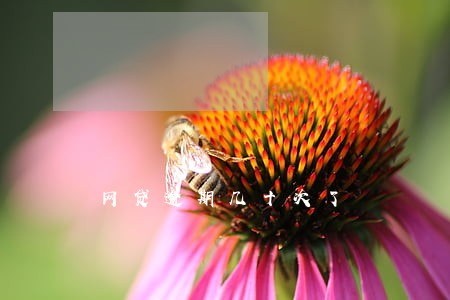 网贷逾期几十次了 网贷逾期几十次了