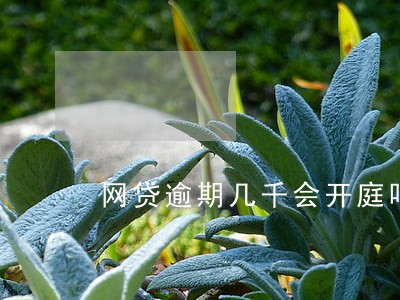 网贷逾期几千会开庭吗 网贷逾期几千会开庭吗