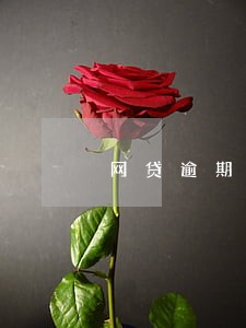 网贷逾期几千块钱2年没还 网贷逾期几千块钱2年没还
