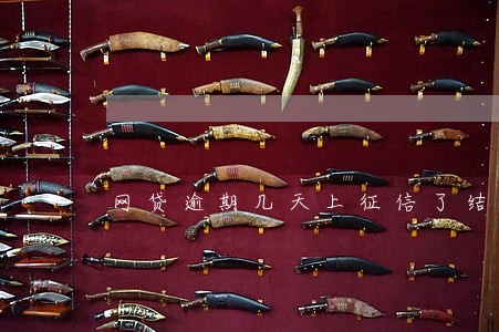 网贷逾期几天上征信了结清了 网贷逾期几天上征信了结清了