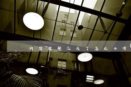 网贷逾期几天了怎么办呀 网贷逾期几天了怎么办呀