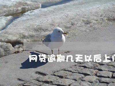 网贷逾期几天以后上门 网贷逾期几天以后上门