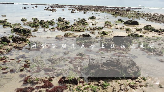 网贷逾期几天会上征信记录吗