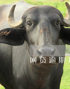 网贷逾期几天会和家里人打电话 网贷逾期几天会和家里人打电话