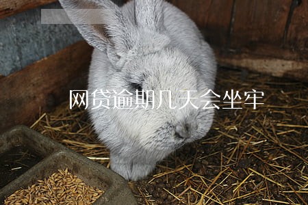 网贷逾期几天会坐牢 网贷逾期几天会坐牢