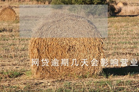 网贷逾期几天会影响营业执照吗 网贷逾期几天会影响营业执照吗