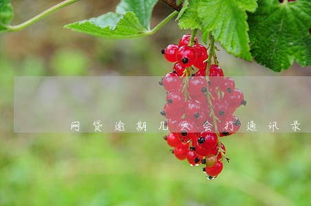 网贷逾期几天会打通讯录 网贷逾期几天会打通讯录