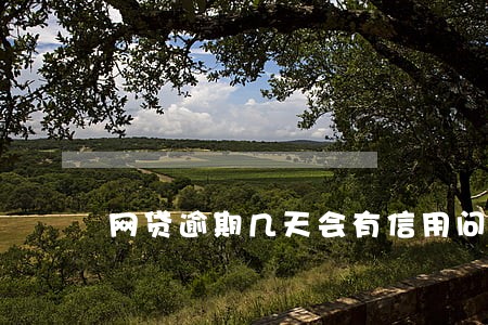 网贷逾期几天会有信用问题 网贷逾期几天会有信用问题