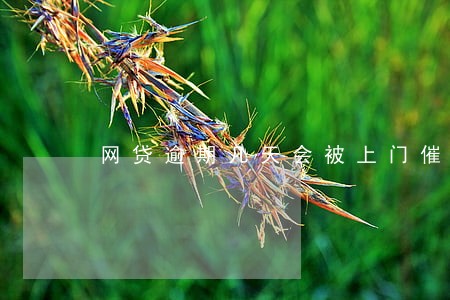 网贷逾期几天会被上门催收 网贷逾期几天会被上门催收