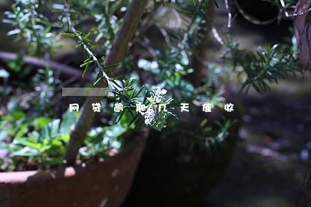 网贷逾期几天催收 网贷逾期几天催收