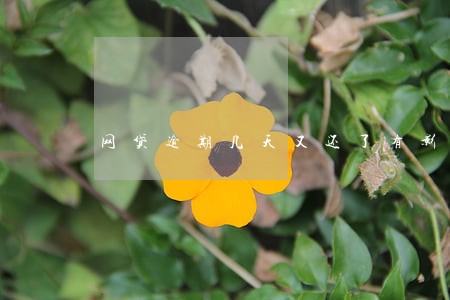 网贷逾期几天又还了有影响吗 网贷逾期几天又还了有影响吗