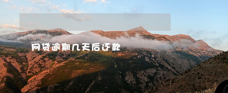网贷逾期几天后还款 网贷逾期几天后还款