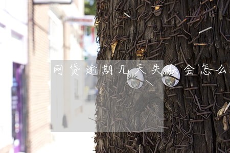 网贷逾期几天失联会怎么样 网贷逾期几天失联会怎么样