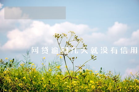 网贷逾期几天就没有信用了 网贷逾期几天就没有信用了