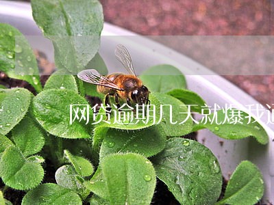 网贷逾期几天就爆我通信录 网贷逾期几天就爆我通信录