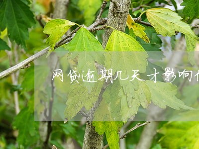 网贷逾期几天才影响信用 网贷逾期几天才影响信用