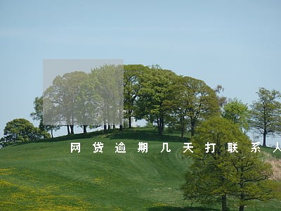 网贷逾期几天打联系人电话 网贷逾期几天打联系人电话