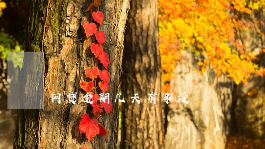 网贷逾期几天有事没 网贷逾期几天有事没