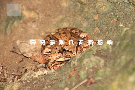 网贷逾期几天有影响 网贷逾期几天有影响