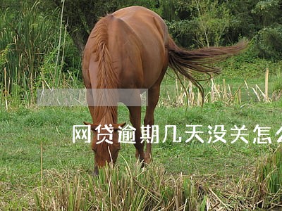 网贷逾期几天没关怎么办 网贷逾期几天没关怎么办