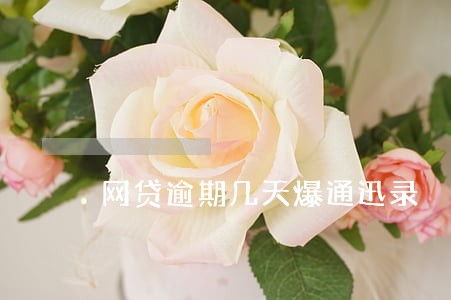 网贷逾期几天爆通迅录 网贷逾期几天爆通迅录
