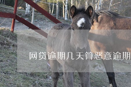 网贷逾期几天算恶意逾期 网贷逾期几天算恶意逾期