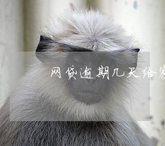 网贷逾期几天给家里打电话 网贷逾期几天给家里打电话