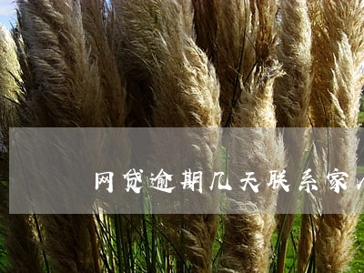 网贷逾期几天联系家人