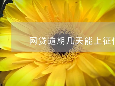 网贷逾期几天能上征信 网贷逾期几天能上征信